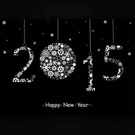 Bye 2015,  Happy New Year 2015